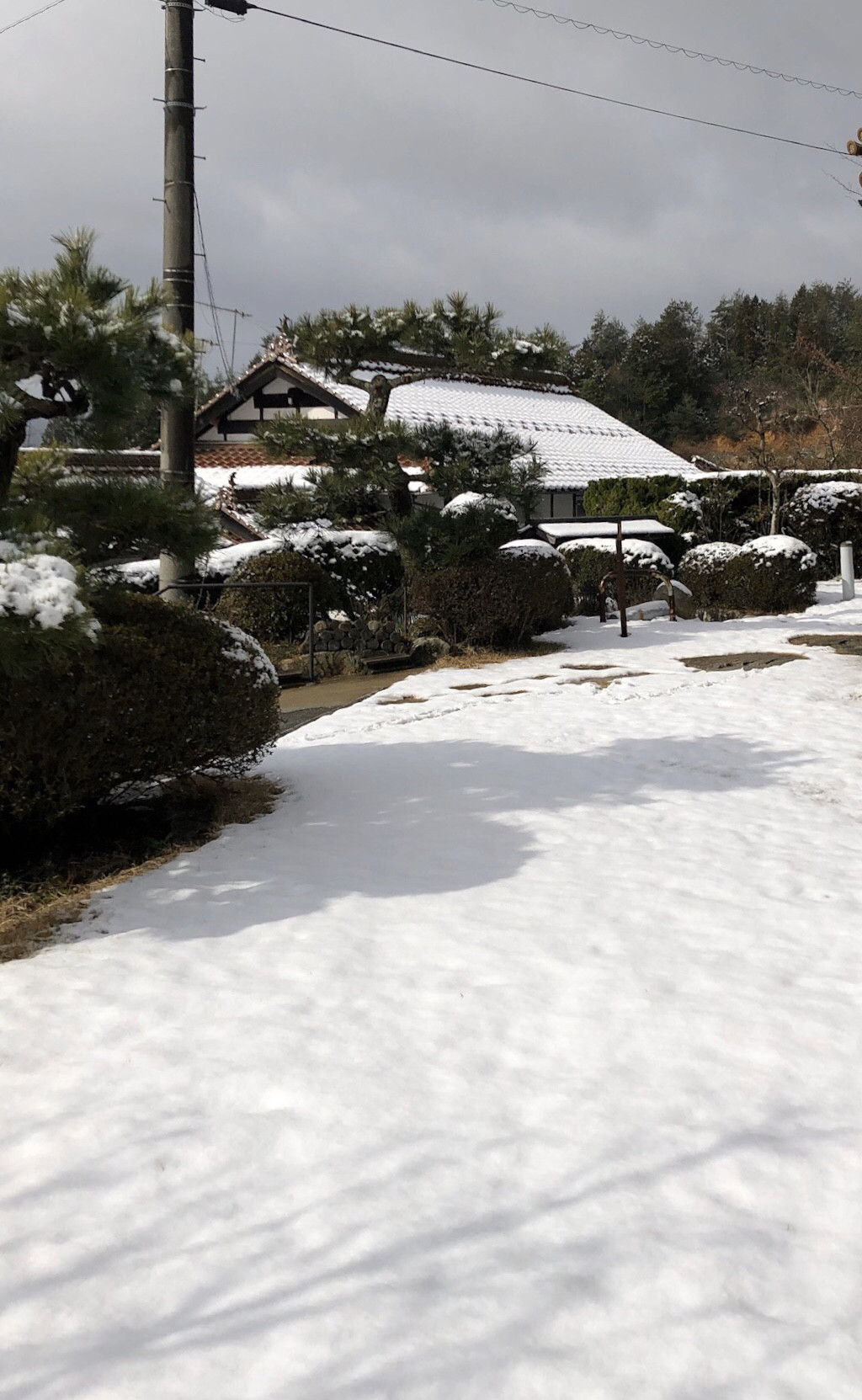 雪が積もりました！